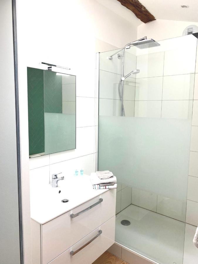 Apartament Maison De Ville Cosy - Hypercentre - 90M2 - Calme Gaillac Zewnętrze zdjęcie